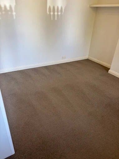 Freshly vacuumed brown carpet with professional cleaning lines