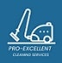 Clean team logo